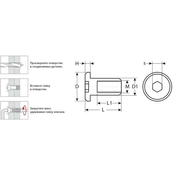 Мебельный крепеж: Гайка Эриксона с плоской головкой Зубр M6x12мм 5 кг (755 шт), оцинкованная, шест. 4мм [303770-4] фотографии