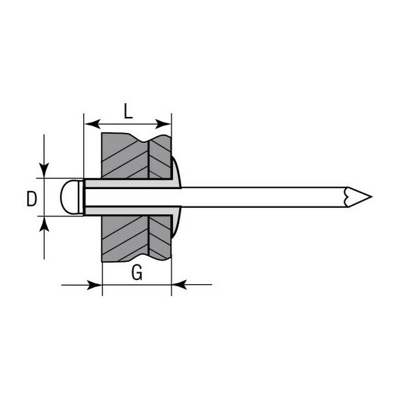 Заклепки: Нержавеющие заклепки Зубр Профессионал 4.0 х 12 мм 1000 шт [31316-40-12] фотографии