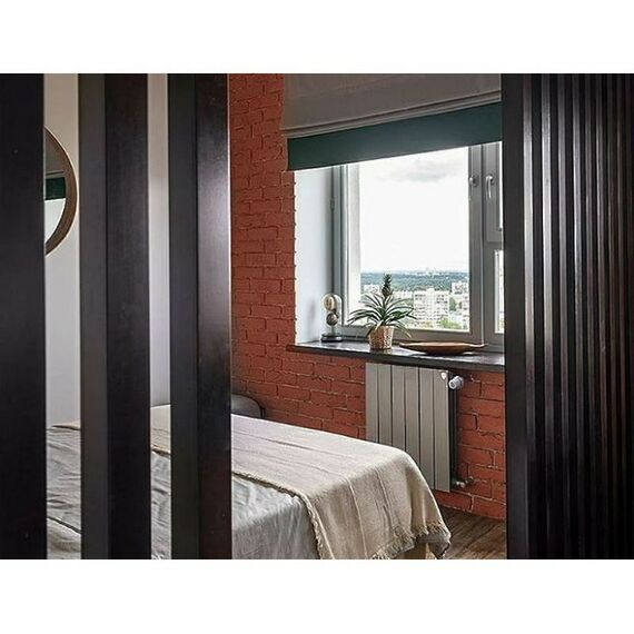 Радиаторы: Радиатор Royal Thermo PianoForte 500 new/Silver Satin 10 секций [RTPNSS50010] фотографии