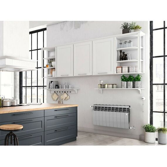Радиаторы: Радиатор Royal Thermo BiLiner 350 /Silver Satin 4 секций [RTBSS35004] фотографии