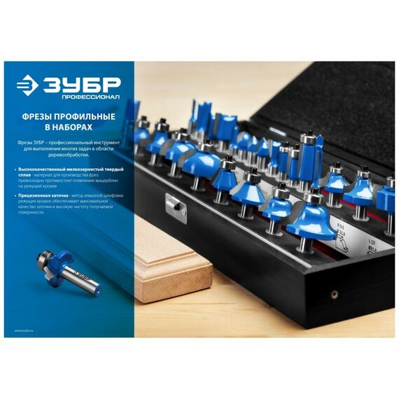 Принадлежности для фрезерных станков: Набор профильных фрез по дереву Зубр 28795-H4-2 4шт фотографии