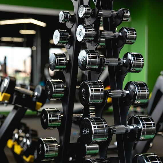 Гантели:  Гантельный ряд CHROME (шаг 1 кг, 10 пар) PROFI-FIT 1-10 кг фотографии