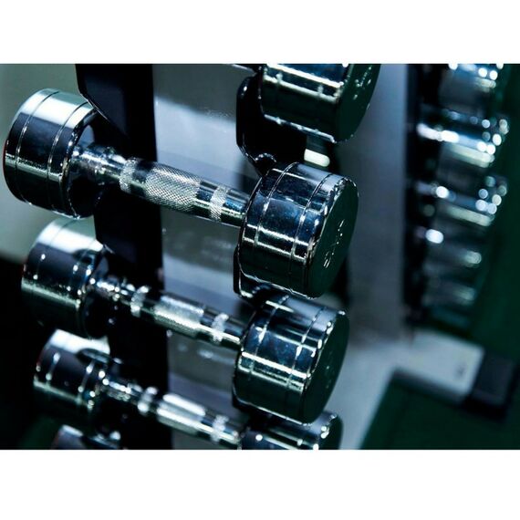 Гантели:  Гантельный ряд CHROME (шаг 1 кг, 10 пар) PROFI-FIT 1-10 кг фотографии