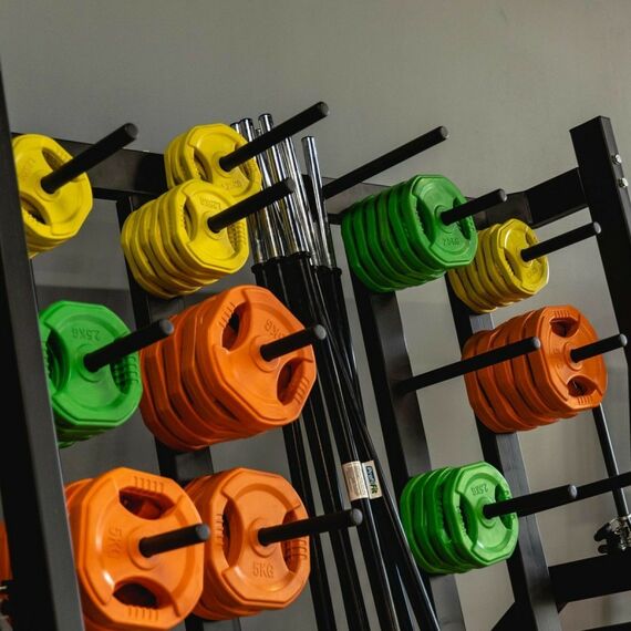 Фитнес оборудование:  Штанга для аэробики и обрезиненные диски по 2 шт (1,25-2,5-5 кг) PROFI-FIT PROGRESS фотографии