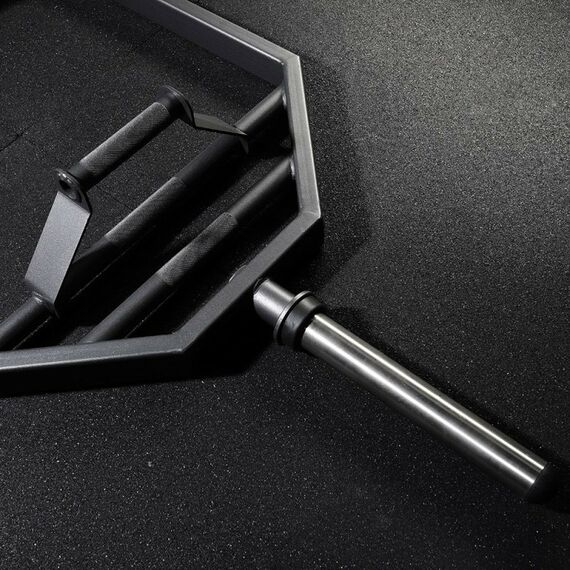 Грифы для штанги:  Трэп-гриф 1830 мм D50 мм PROFI-FIT фотографии