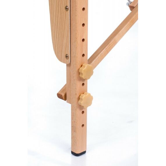 Массажные столы:  Массажный складной стол Mizomed Standart 2 черный фотографии