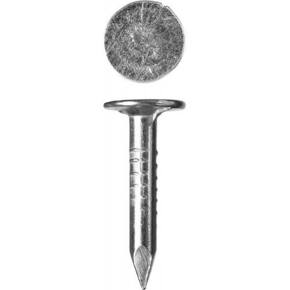 Гвозди: Гвозди с большой потайной головкой Зубр 20 х 3.0 мм 5 кг, оцинкованные [305090-30-020] фотографии