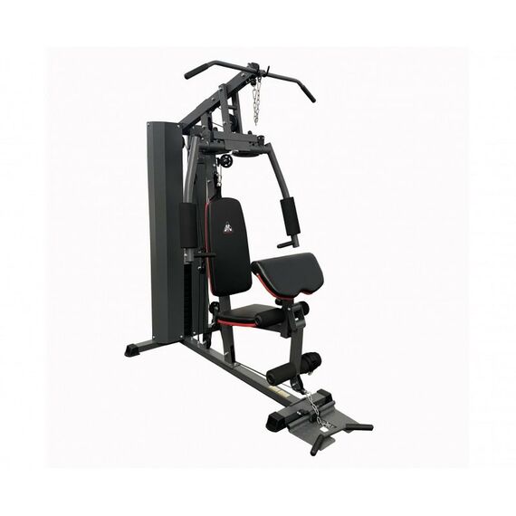 Грузоблочные силовые тренажеры: Силовой комплекс DFC D7003 1 короб + 2 груза фотографии