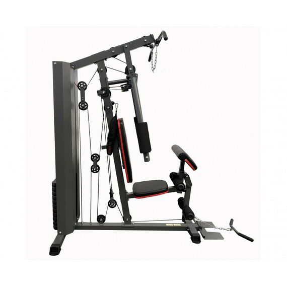 Грузоблочные силовые тренажеры: Силовой комплекс DFC D7003 1 короб + 2 груза фотографии