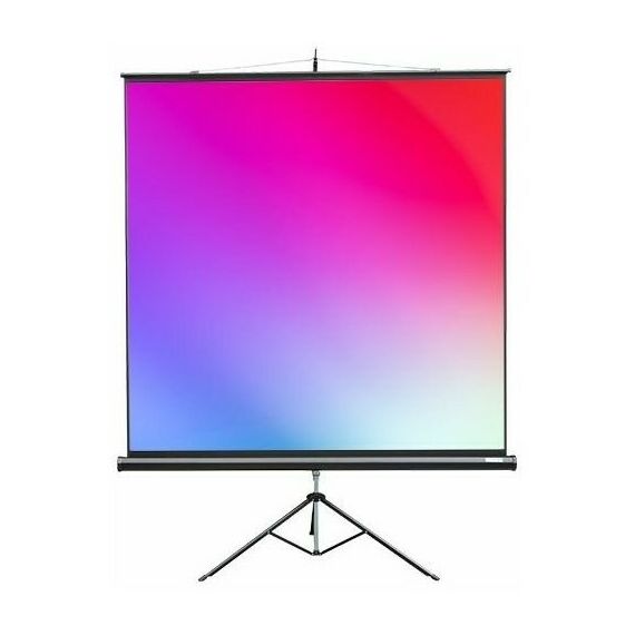 Экраны для проекторов: Экран на треноге Lumien Master View MW 244  x 244 см [LMV-100105] фотографии