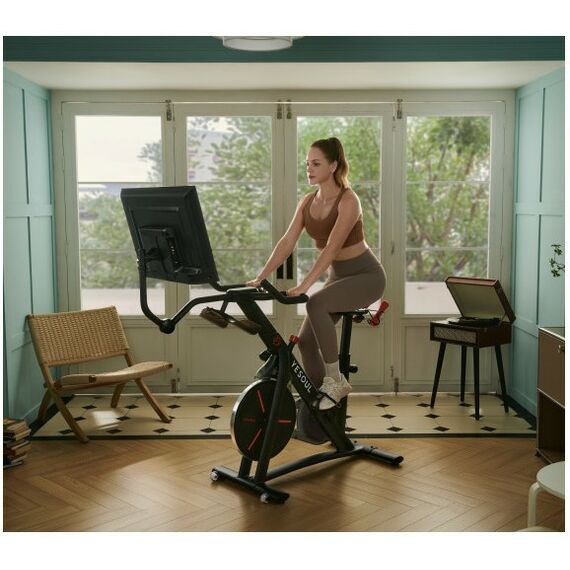 Велотренажеры: Велотренажер Yesoul BG1-B-32 фотографии