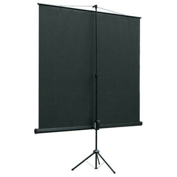 Экраны для проекторов: Экран на штативе Lumien Master View 128x171 см MatteWhiteFiberGlass устойчивый штатив, 4:3 [LMV-100106] фотографии