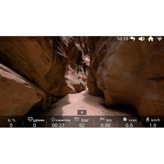 Беговые дорожки: Беговая дорожка Titanium Masters Physiotech TGF TFT фотографии