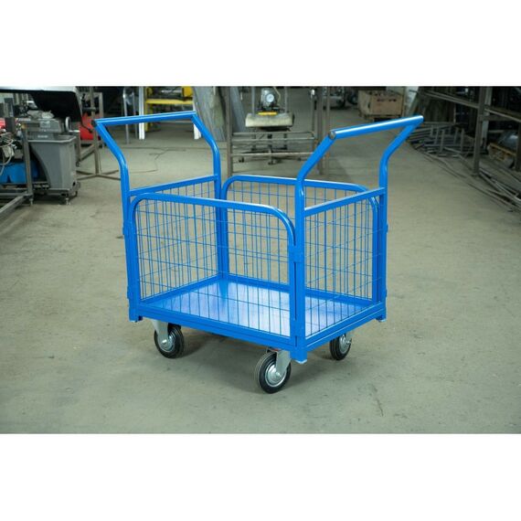 Тележки: Тележка платформенная TOR ТП-2С 600х900мм, с бортами из сетки и двумя ручками, колеса 160 мм [1012414] фотографии