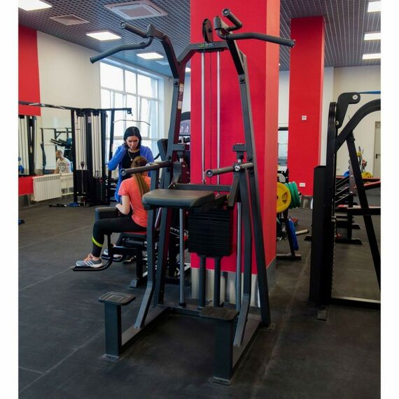 Грузоблочные силовые тренажеры: Турник, брусья с противовесом (Dip/Chin Assist) DHZ E3009 (U3009C) стек 88 кг фотографии