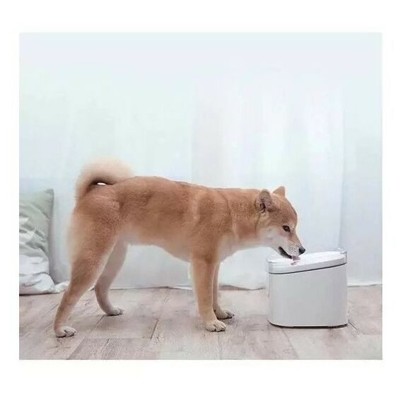 Умные устройства: Умная автоматическая поилка Xiaomi Smart Pet Fountain [BHR6161EU] фотографии