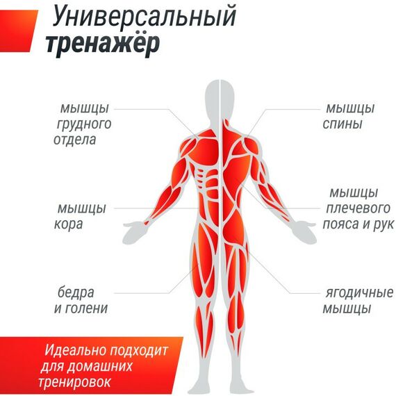 Свободные веса: Силовая рама многофункциональная UNIX Fit 200 кг [PF200YL] фотографии