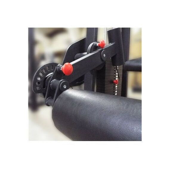 Сгибание ног лежа 100 кг AV214/80 фотографии