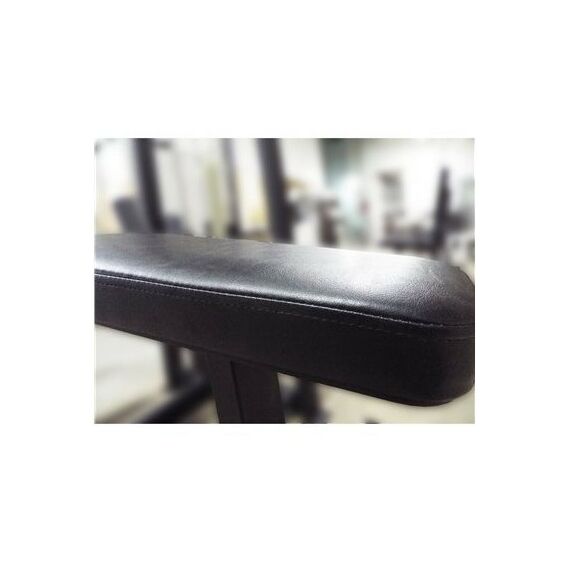 Сгибание ног лежа 100 кг AV214/80 фотографии