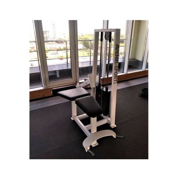 Сгибание ног лежа 100 кг AV214/80 фотографии