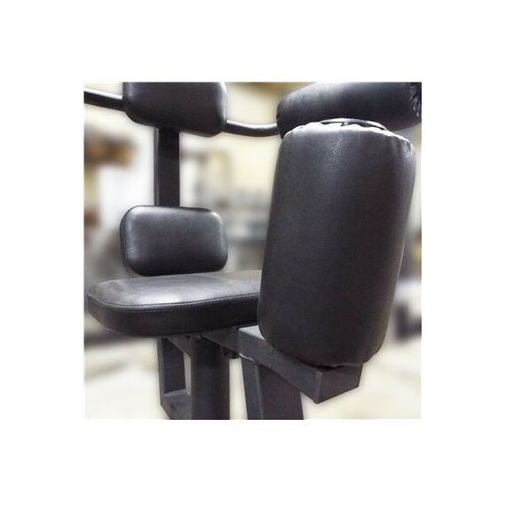 Торс машина 60 кг AV221/80 фотографии