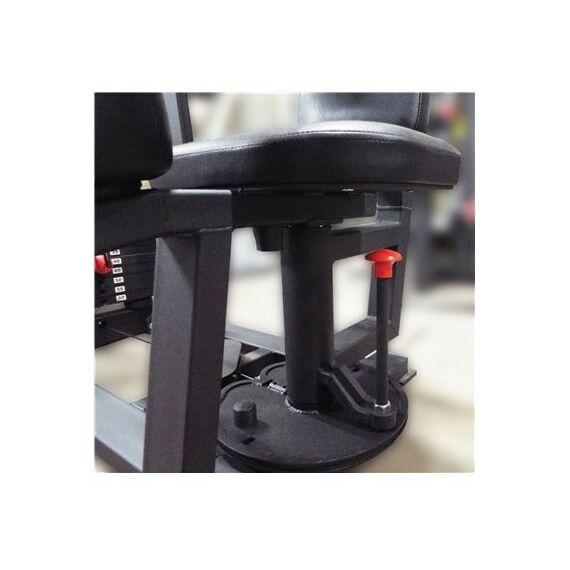 Торс машина 60 кг AV221/80 фотографии