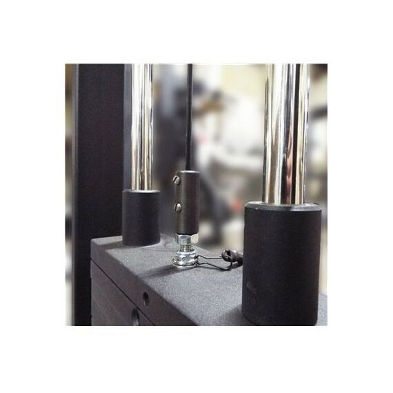 Торс машина 60 кг AV221/80 фотографии