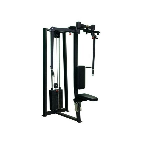 Баттерфляй-задние дельты 2 в 1 100 кг AV213/80 фотографии