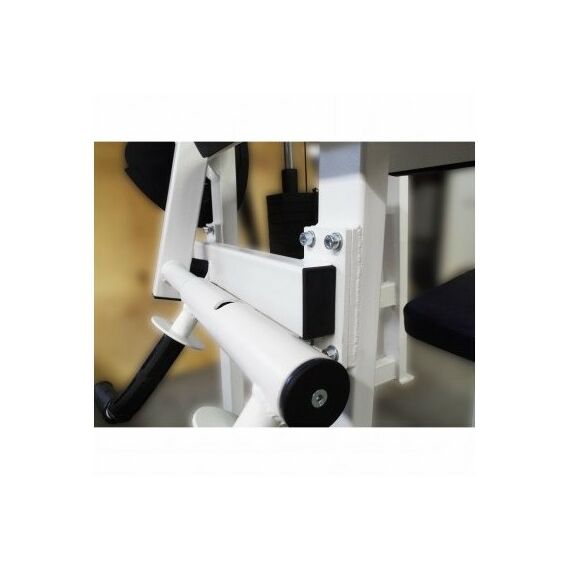 Бицепс-трицепс машина 2 в 1 60 кг AV248/80 фотографии