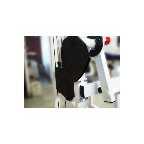 Бицепс-трицепс машина 2 в 1 60 кг AV248/80 фотографии