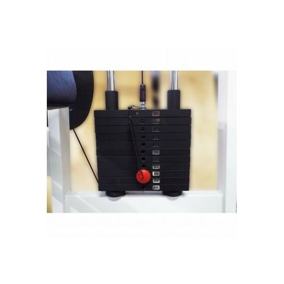 Бицепс-трицепс машина 2 в 1 60 кг AV248/80 фотографии