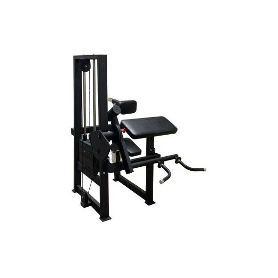 Бицепс-трицепс машина 2 в 1 60 кг AV248/80 фотографии