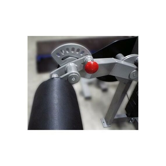 Сгибание-разгибание ног сидя 2 в 1 100 кг AV216/80 фотографии