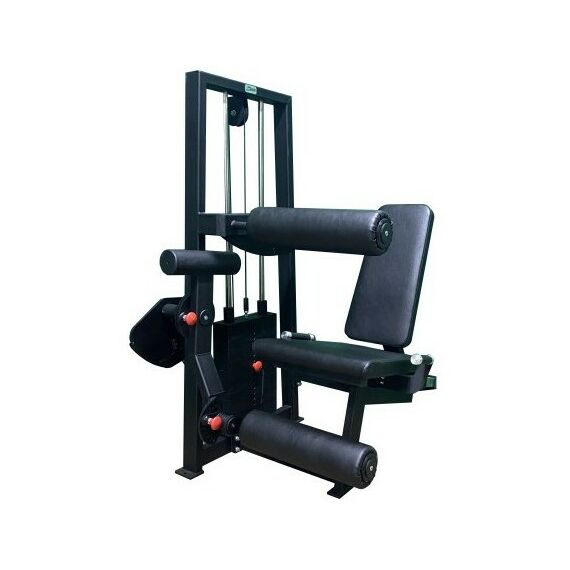 Сгибание-разгибание ног сидя 2 в 1 100 кг AV216/80 фотографии