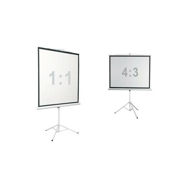 Купить Экран для проектора Digis Kontur-D DSKD-1105 100", 1:1, 180x180см, Matte White в интернет-магазине Irkshop.ru