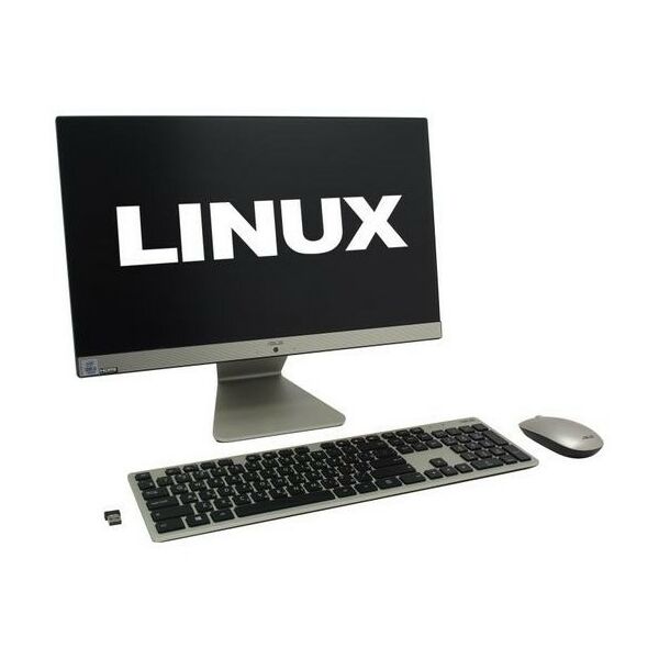 Моноблоки: Моноблок Asus Vivo AiO V222FAK i3 10110U/8/1Tb+128SSD/WiFi/BT/Linux/21.5" [90PT02G1-M03030] фотографии