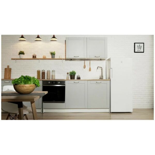 Морозильные камеры: Морозильник Indesit DSZ 4150.1 фотографии