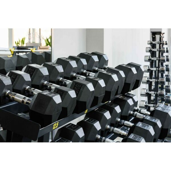 Гантели:  Гантель гексагональная обрезиненная PROFI-FIT 47,5 кг фотографии
