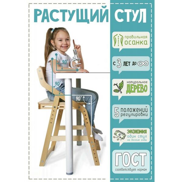 Детские кресла и стулья:  38 Попугаев Стул растущий «Робин Wood» 38 Попугаев (Шимо тёмный) фотографии