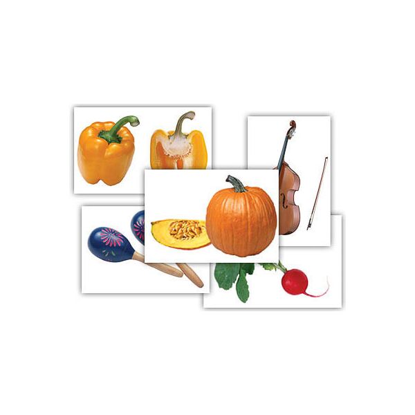 Купить Набор предметных картинок "Овощи. Музыкальные инструменты" (48 шт., А4, с магнитами) в интернет-магазине Irkshop.ru