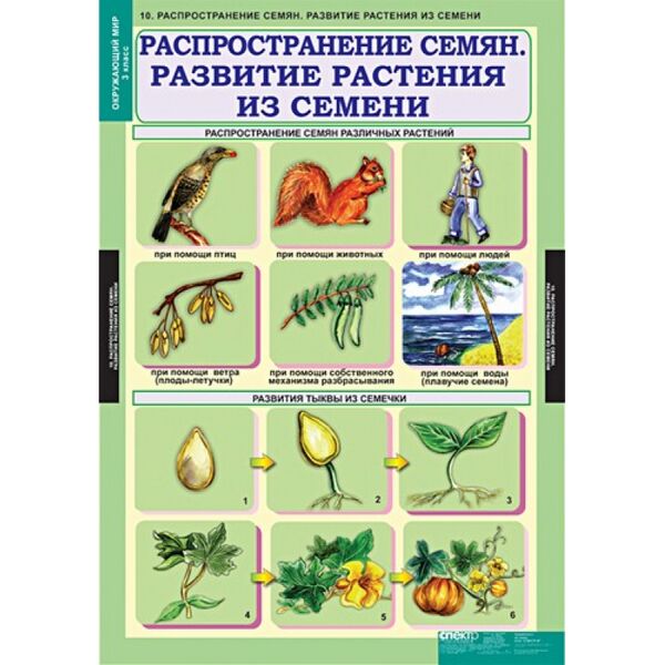 Купить Окружающий мир 3 класс, изображение 10 в интернет-магазине Irkshop.ru