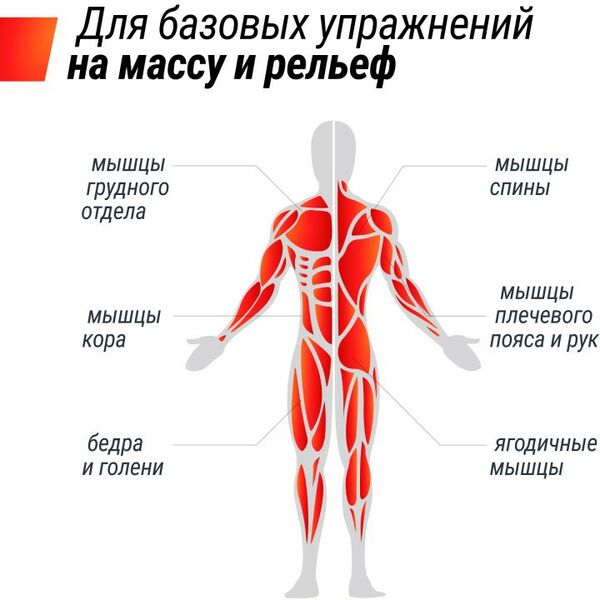 Грифы для штанги:  3 в 1 24 кг фотографии