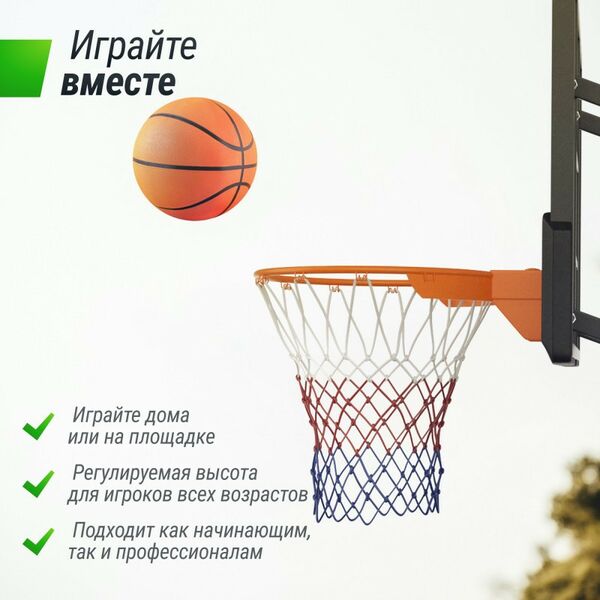 Баскетбол: Баскетбольный щит регулируемый UNIX line B-Backboard-PC 50"x32" R45 фотографии