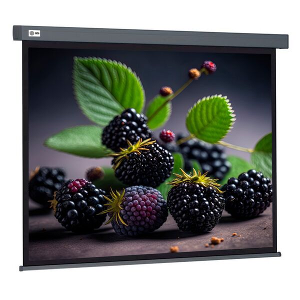 Купить Экран Cactus CS-PSW-127X127-SG 127x127см Wallscreen 1:1 настенно-потолочный рулонный серый, изображение 2 в интернет-магазине Irkshop.ru