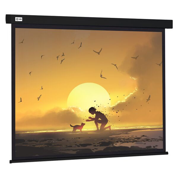 Купить Экран Cactus CS-PSW-150X150-BK 150x150см Wallscreen  1:1 настенно-потолочный рулонный черный в интернет-магазине Irkshop.ru