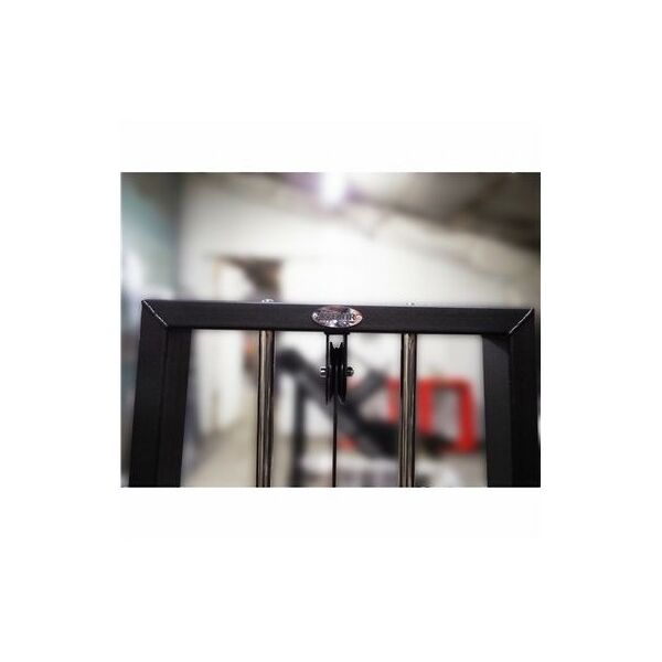 Торс машина 60 кг AV221/80 фотографии