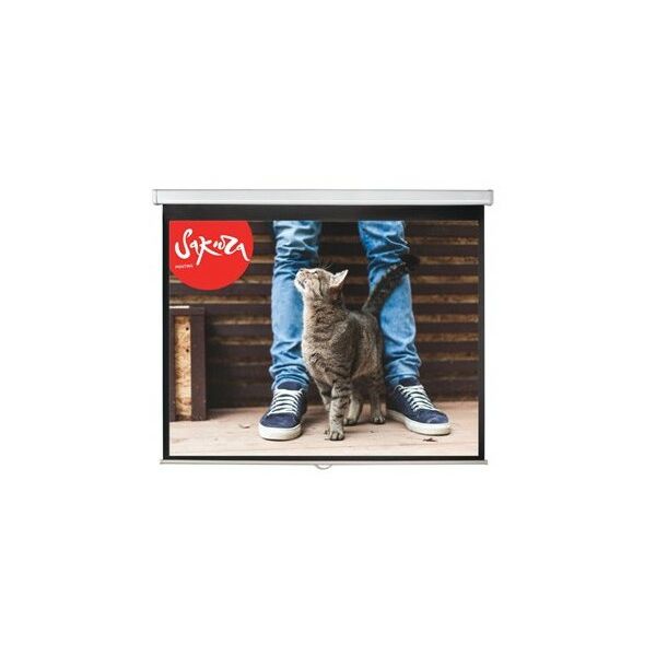 Экраны для проекторов: Экран Sakura Wallscreen 16:9 SCPSW-266x150 266x150см настенно-потолочный рулонный белый 120" фотографии