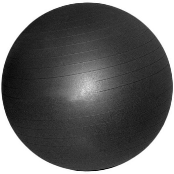 Фитнес оборудование:  Мяч гимнастический Gym Ball Anti-Burst 55 см фотографии